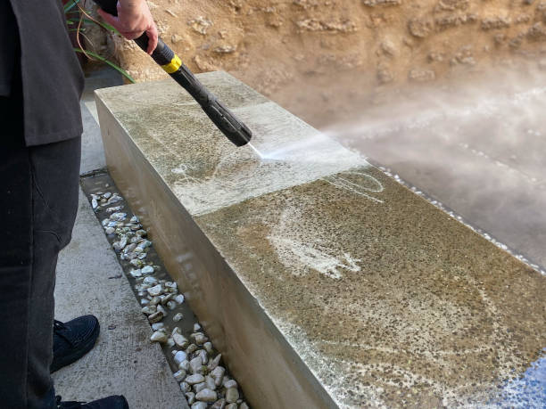 Best Concrete Pressure Washing  in Leland Grove, IL